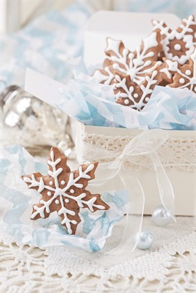 圣诞雪花饼干图片